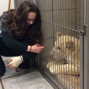 Meet your Posher, Lacey